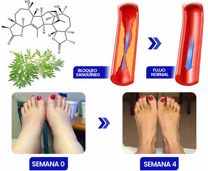 ✨¡Los resultados lo determinan todo para nosotros!🔥Lemcoy™ NumbFix  Manos y Pies Spray