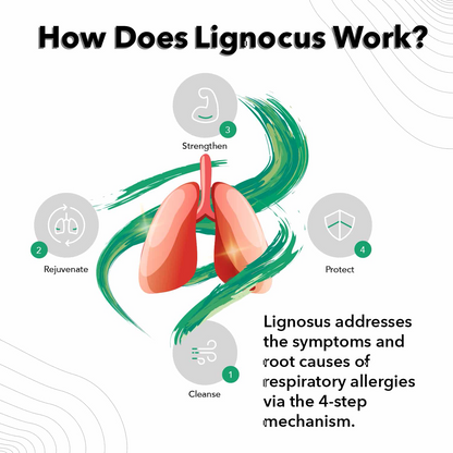 Lignocus | Best Natural Respiratory Health Supplement