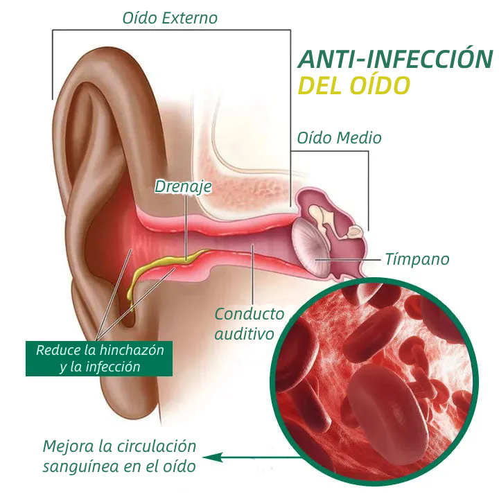 🔥Lemcoy™ PureHear Esencia Orgánica para el Cuidado del Oído🔥