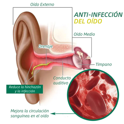 🔥Lemcoy™ PureHear Esencia Orgánica para el Cuidado del Oído🔥